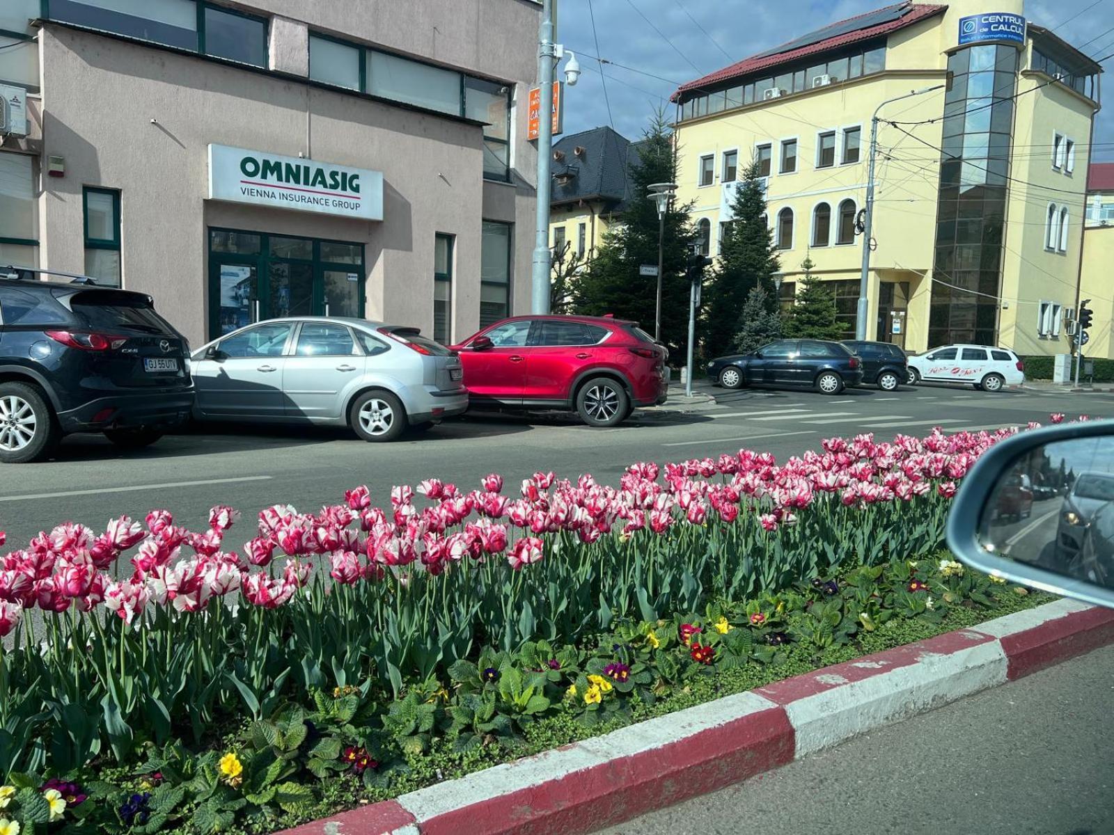 Central-home
